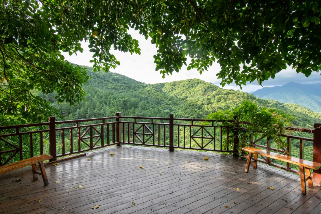 Blog-05.webp